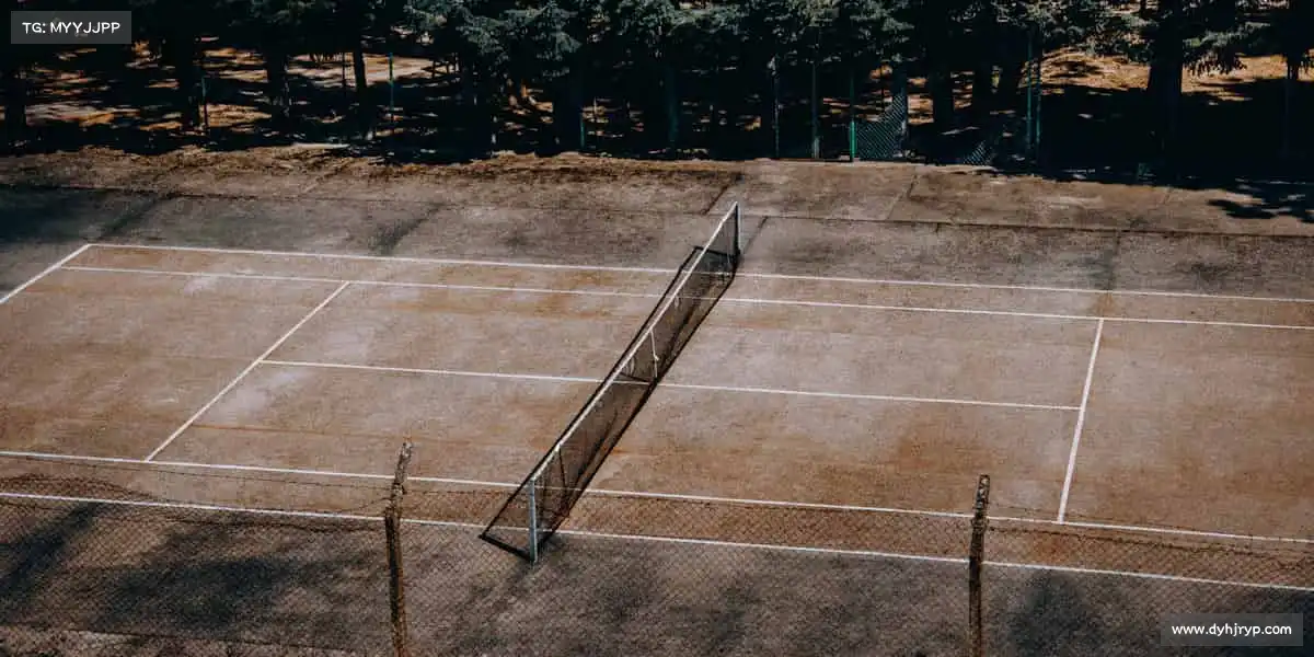 我们的核心竞争力